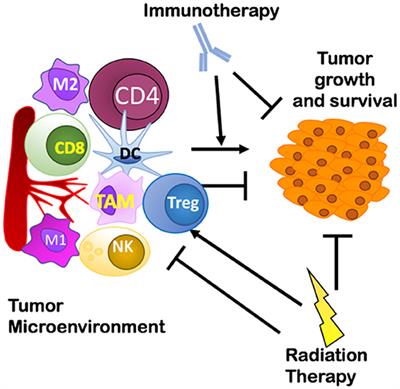 Overcoming Resistance to Combination Radiation-Immunotherapy: A Focus on Contributing Pathways Within the Tumor Microenvironment